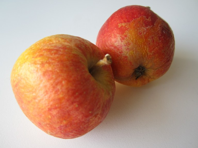 Apfelmuffins Mainbacken (4)