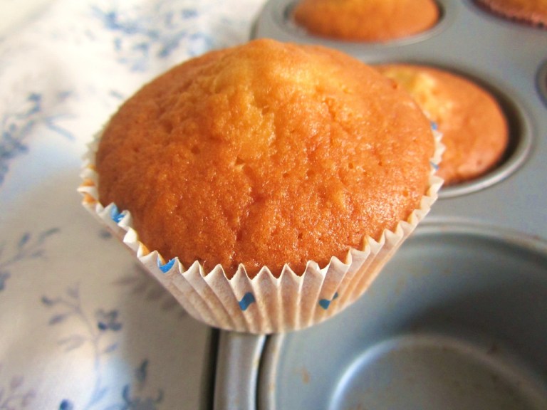 Cupcake Bat Fledermaus (9)