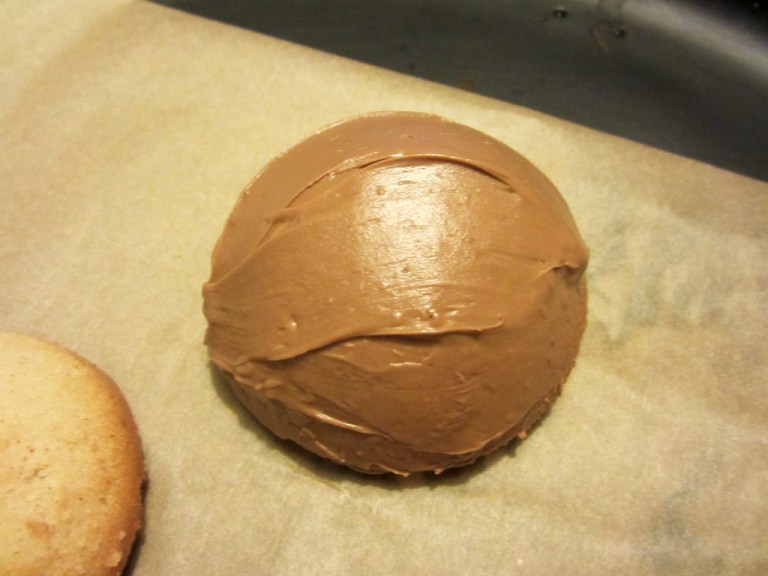 Igel Herbst Küchlein Mainbacken (5)