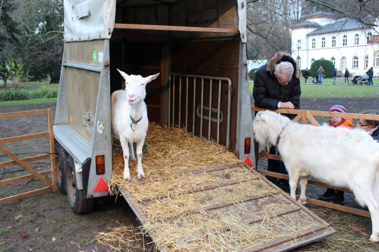 Bad Soden Weihnachtsmarkt (10)