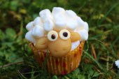 Schaf-Cupcakes