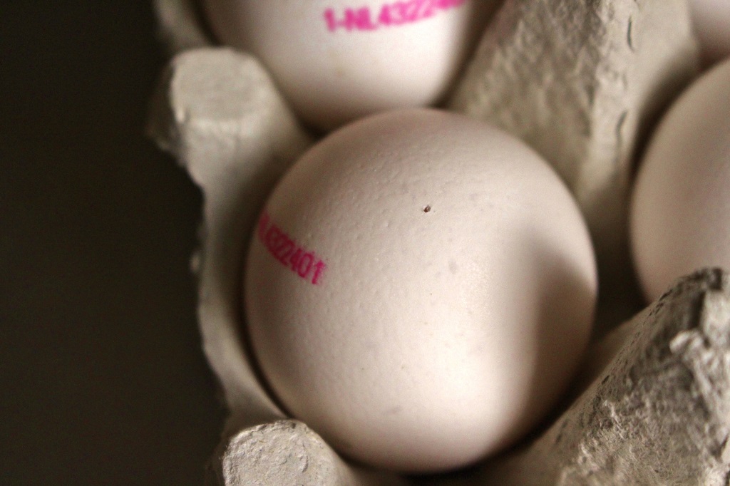 Eier natürlich färben (1)