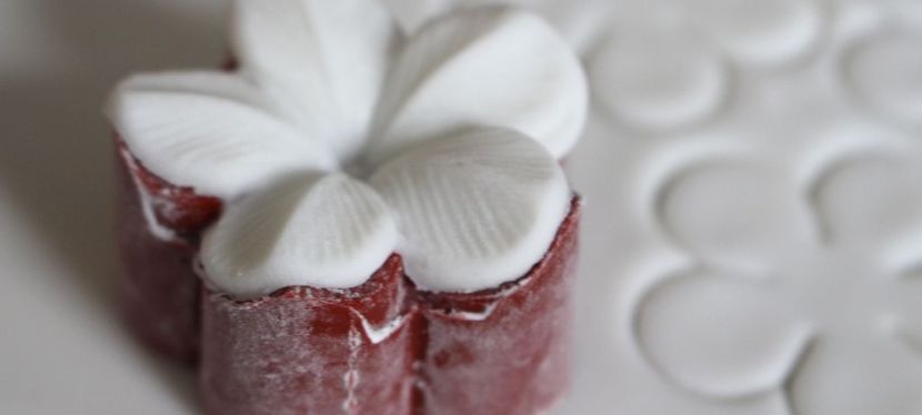 Zuckerblüten mit dem&nbsp;Stempel