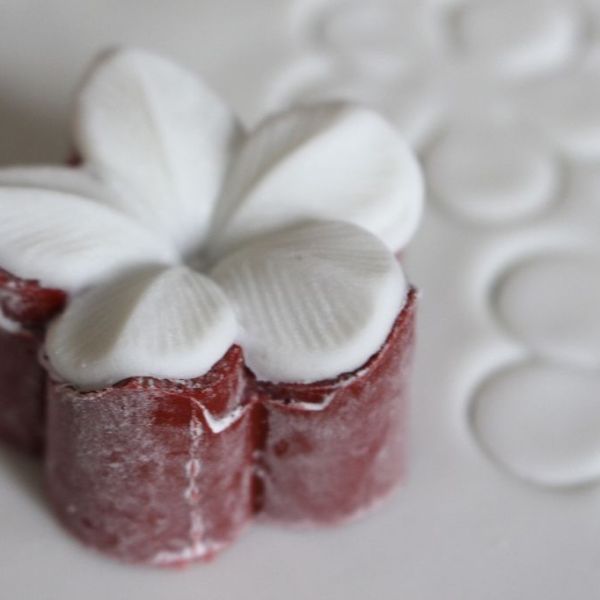 Zuckerblüten mit dem&nbsp;Stempel