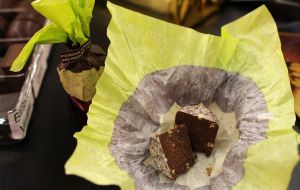 Tendence Herbstmesse 2016 (10)