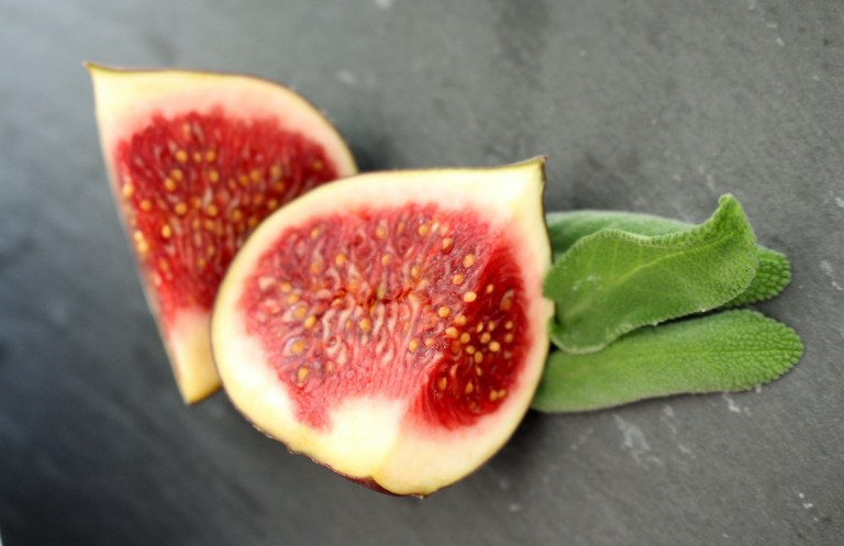 ravioli-feige-ziegenkaese-45